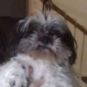 Meet your Posher, Mindy
